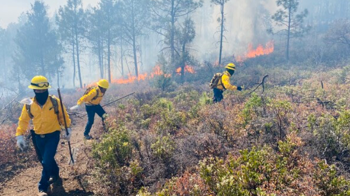 Continúan acciones contra incendios forestales en la zona serrana