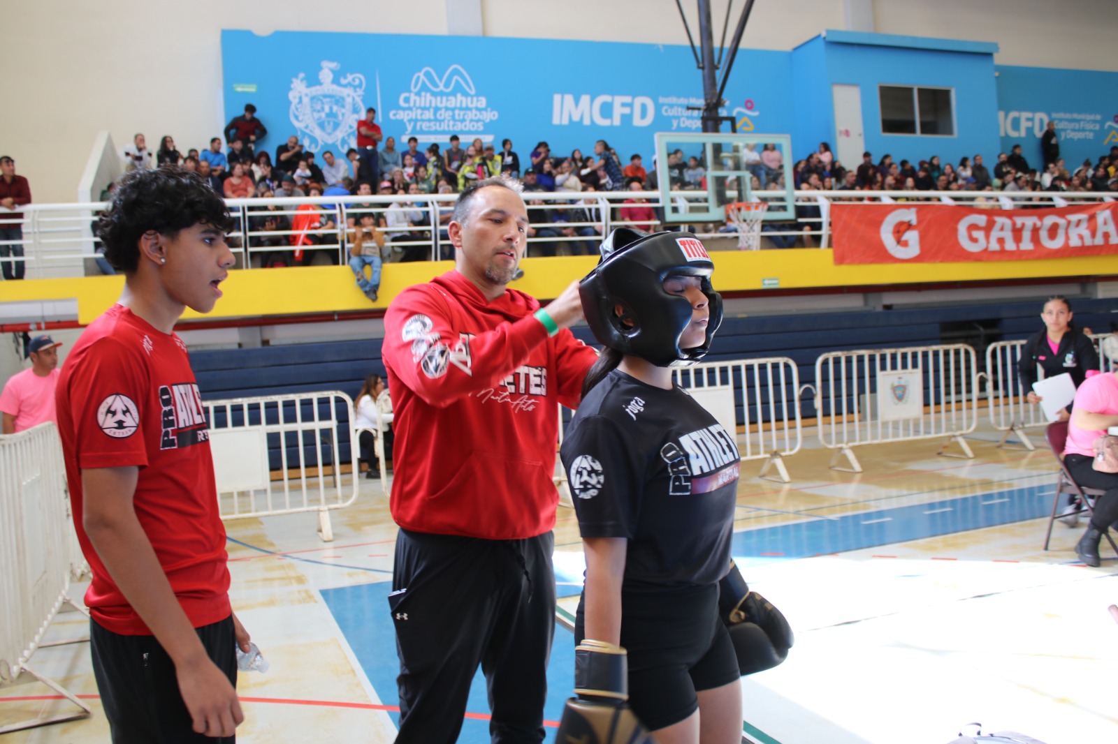 Participan más de 230 competidores en la Copa Dinastía de kick boxing.