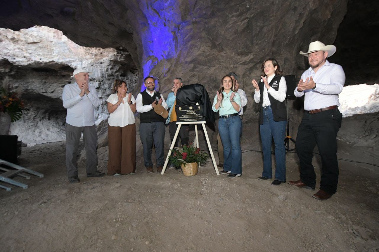Presenta UACH edición especial del Vino Tadarida