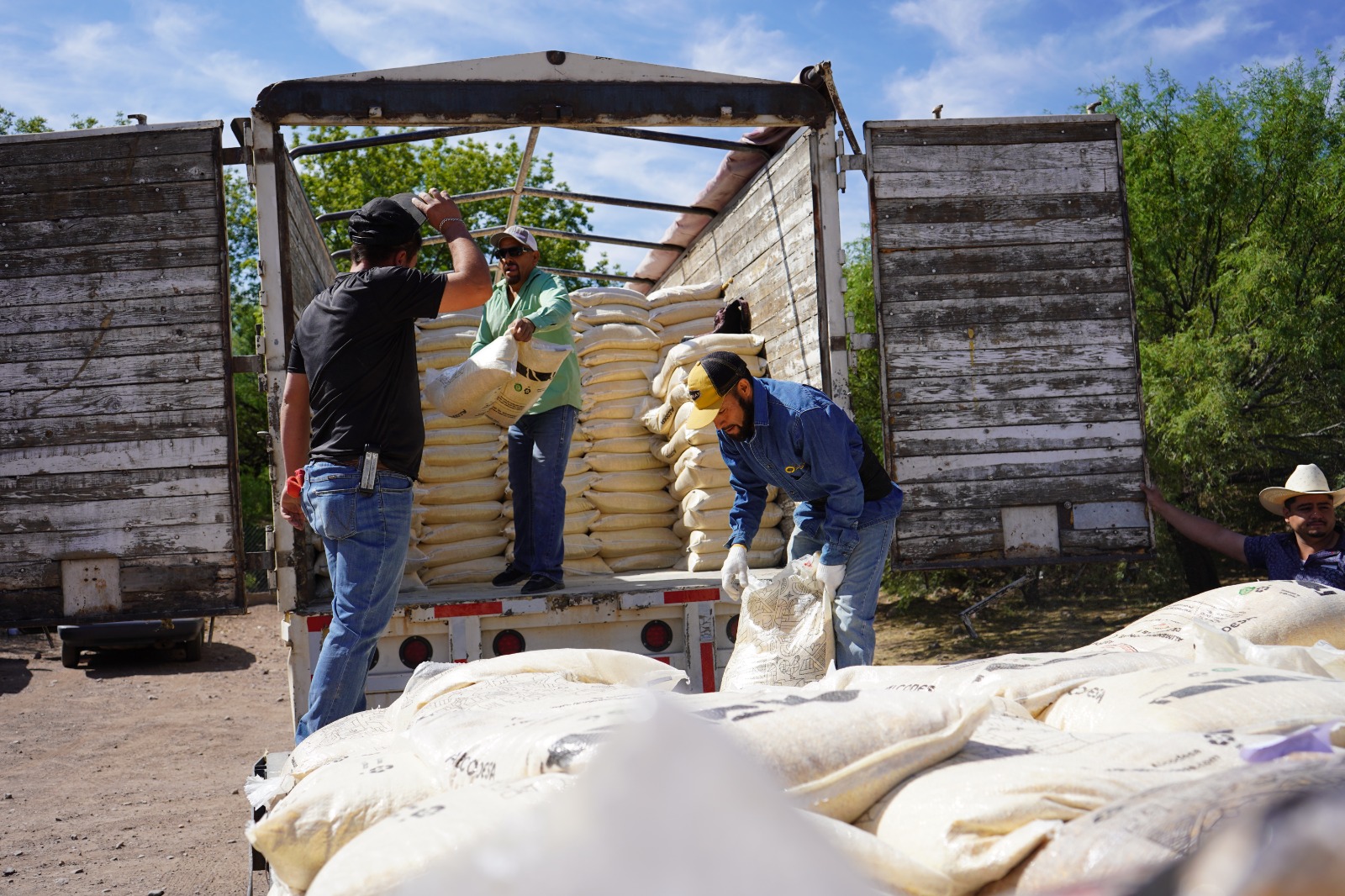 Beneficia Gobierno Municipal a 852 productores pecuarios con alimento para ganado.