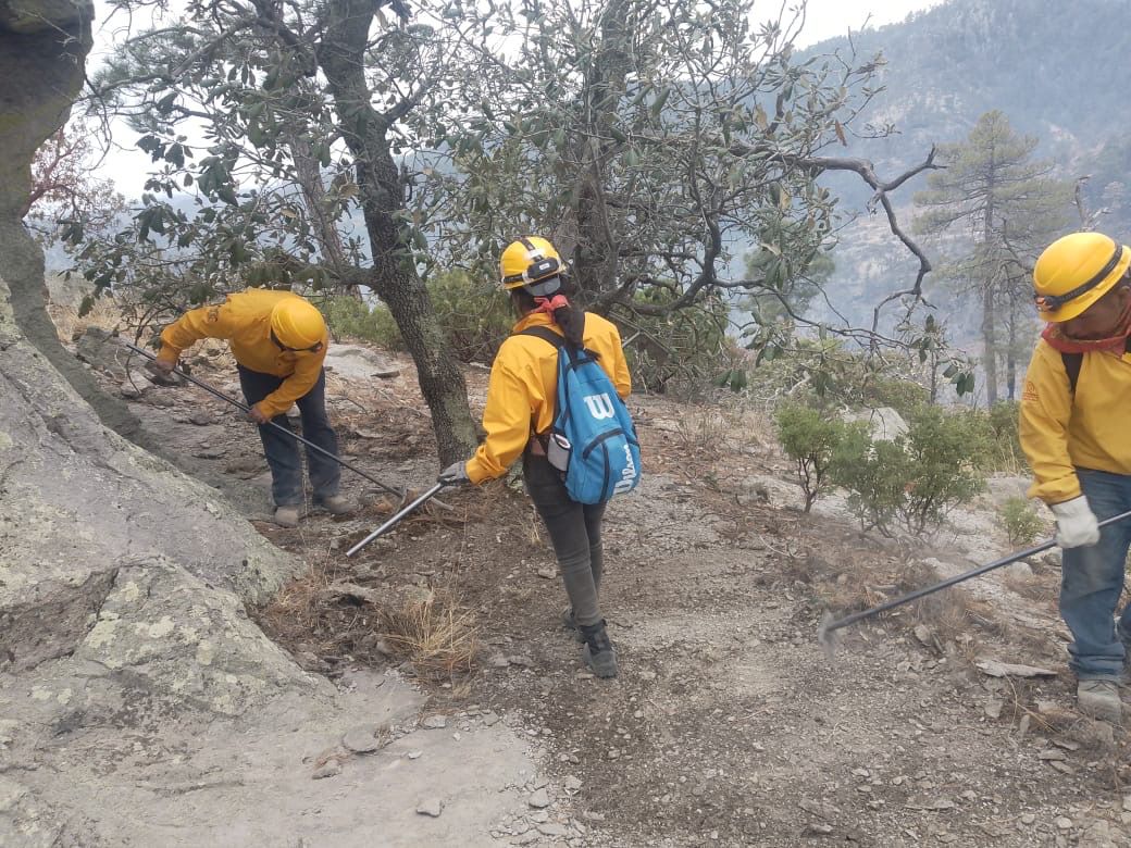 Permanecen activos dos incendios en el municipio de Madera.