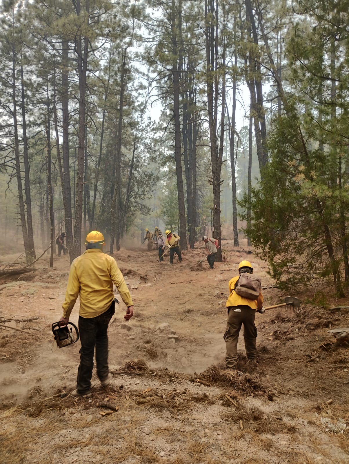 Despliegan a 329 combatientes para contener y mitigar 12 incendios forestales activos