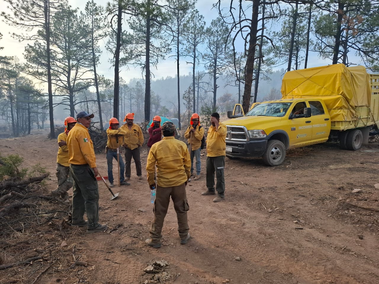 Reportan seis incendios forestales activos en el estado.